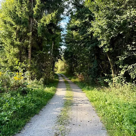 شقة Mc Neues Und Sonniges Doppelhaus, 1 Mit Grosse Terrasse Und E-ladestation In Bei Graz