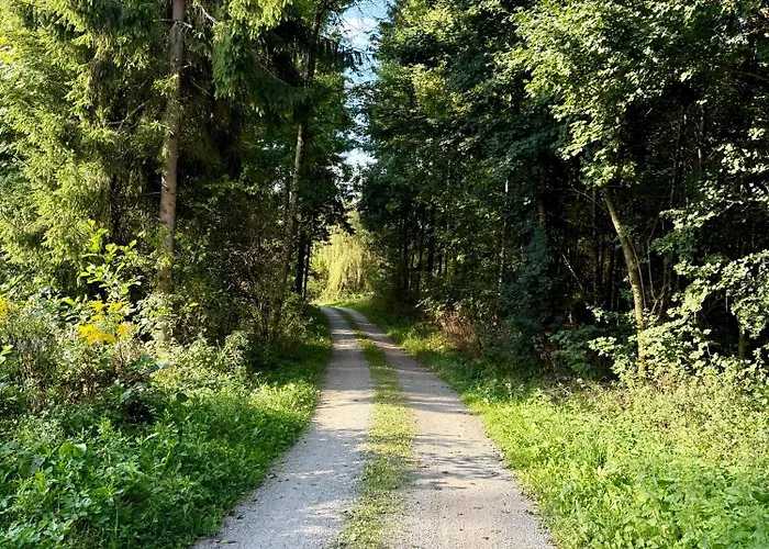 公寓 Mc Neues Und Sonniges Doppelhaus, 1 Mit Grosse Terrasse Und E-ladestation In Bei Graz